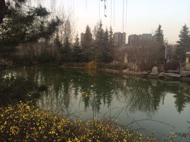 阳光谷