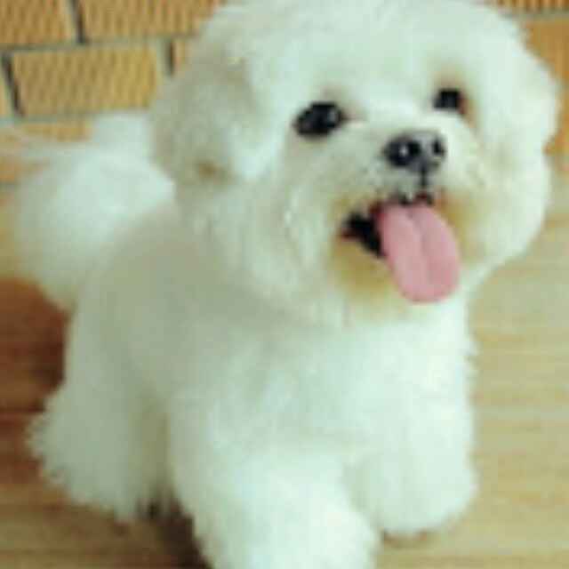 《因为遇见你》