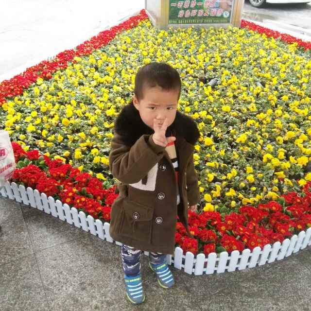 佩佩