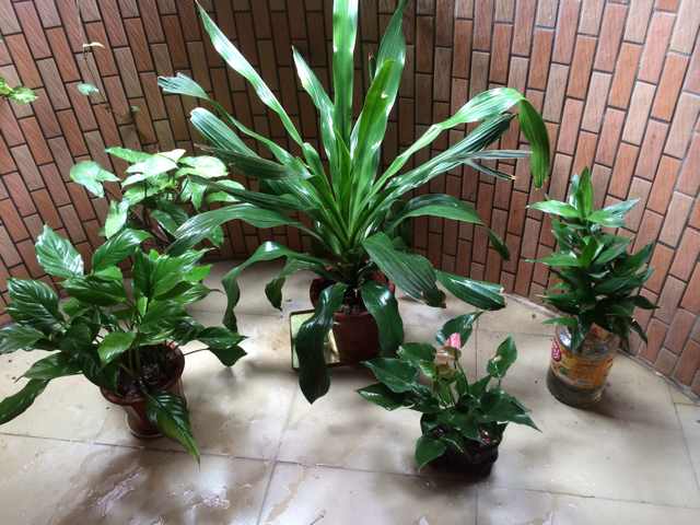 书友20161022142446