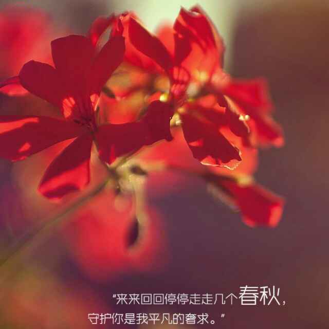 书友20161008174706