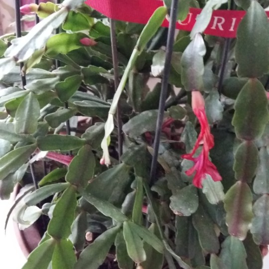 王建波好久