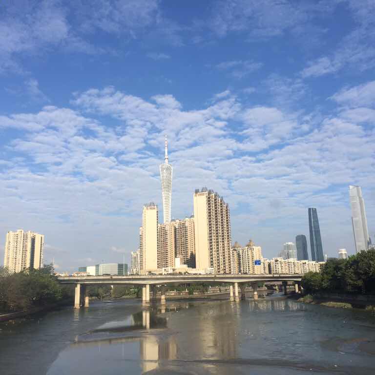杉木林