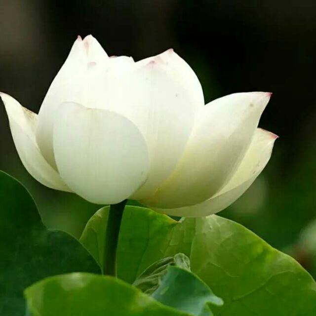 一米阳光