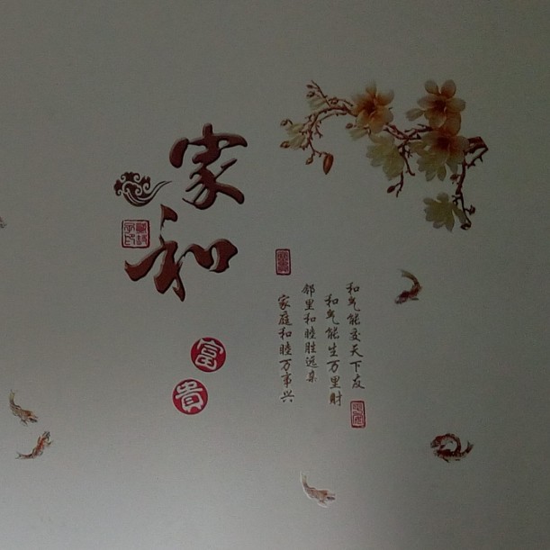 猫咪哥哥