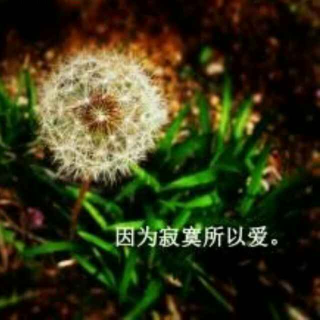 潘梦