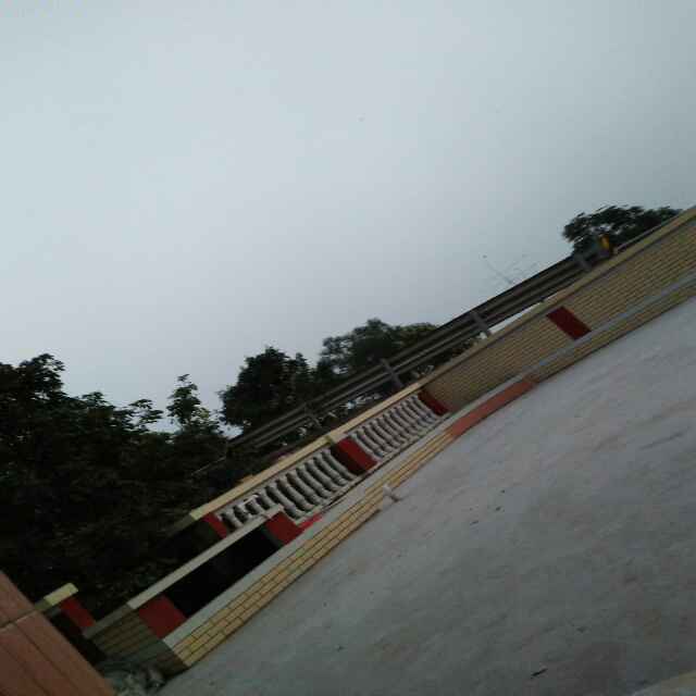 我爱阅读