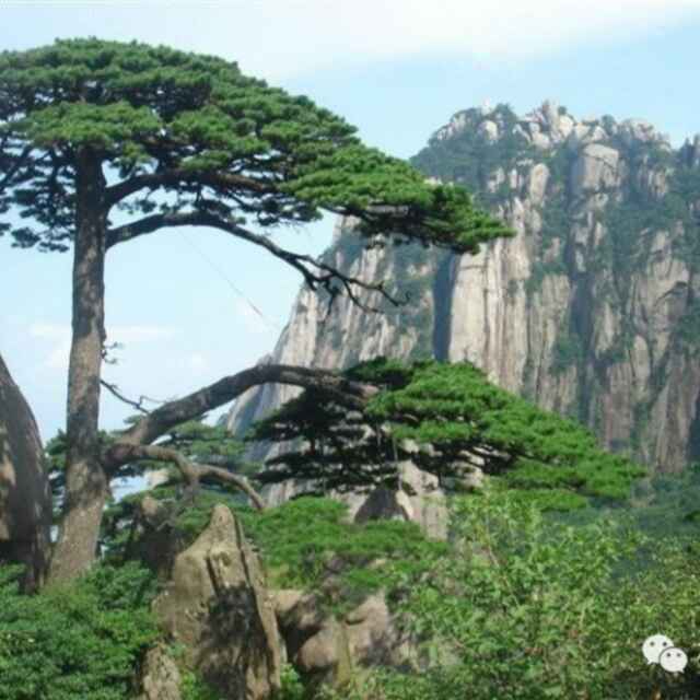 永不后悔