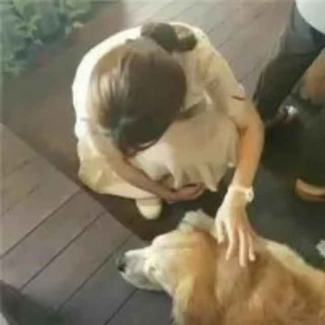 藏他深情葬他心