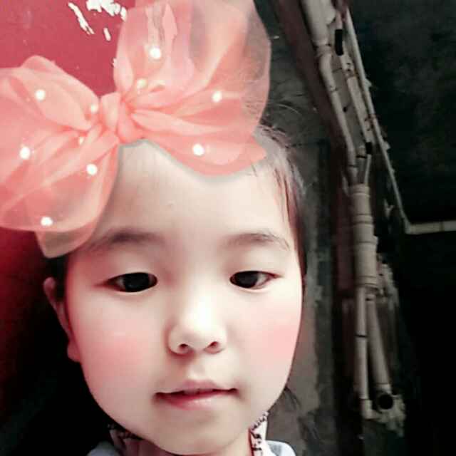 谭丽