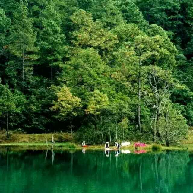 朱明武