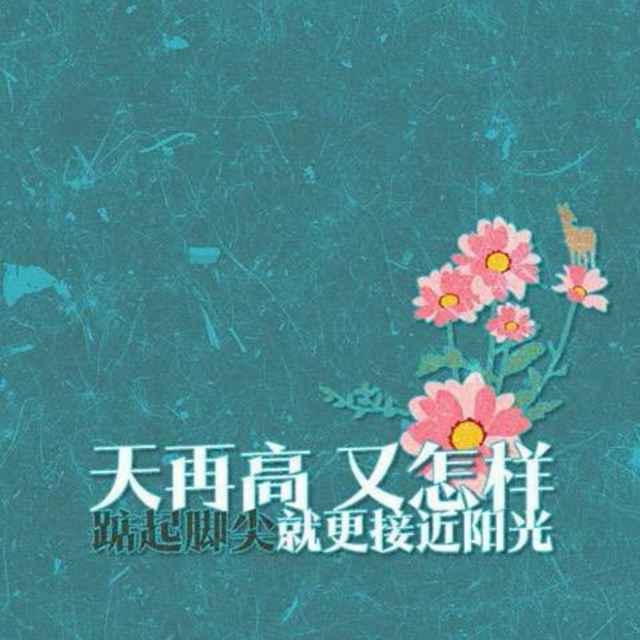 我不是戈薇