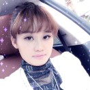 琴
