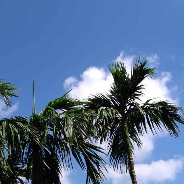 书友555138715的头像