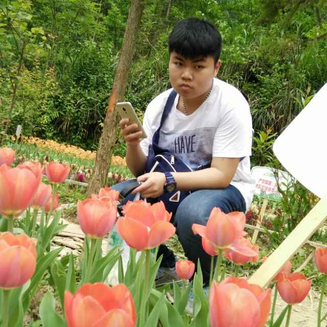 媛媛的头像