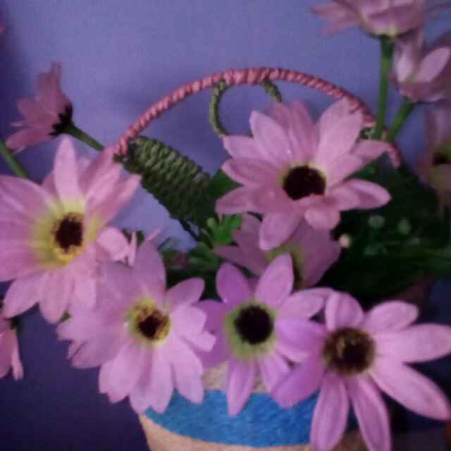 微微真的很倾城