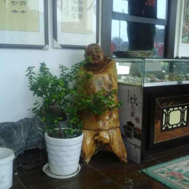 Wang！活到老，学到老，交朋友，分享天下事！