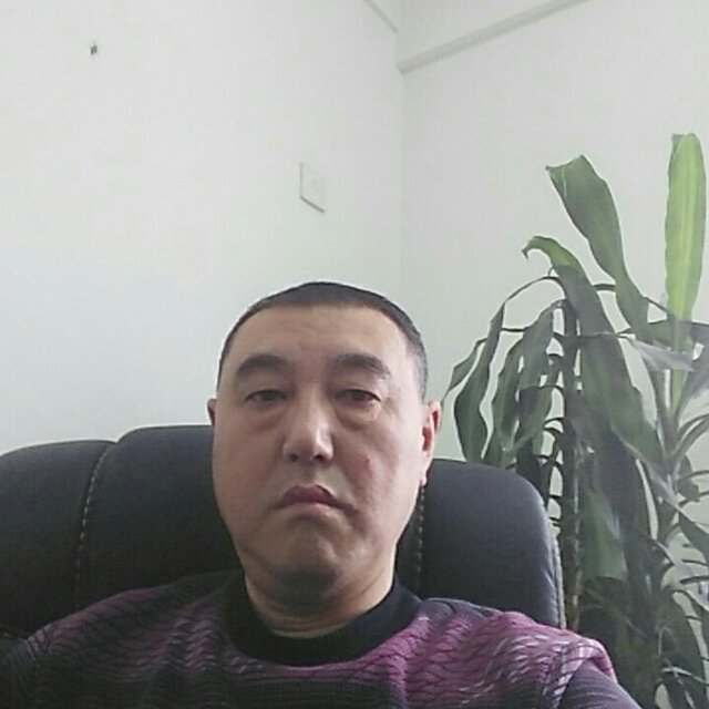 丛林（大中至正）