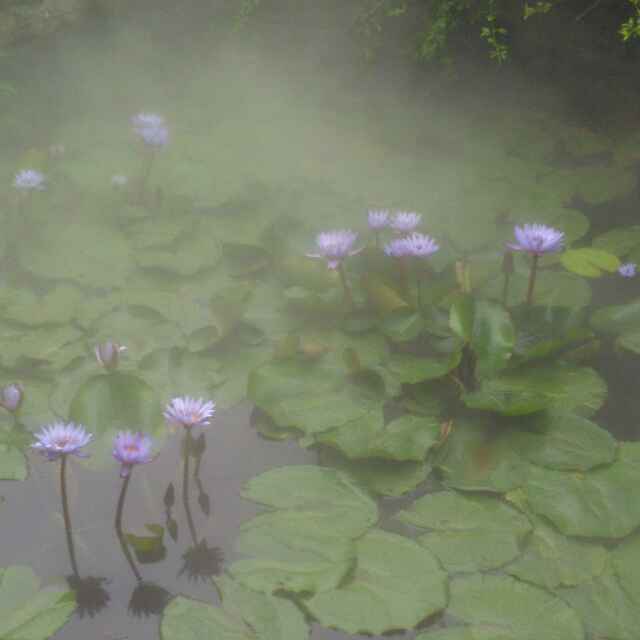 小小