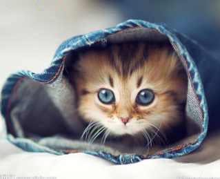 bannaa^_^