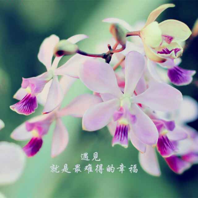 侯有刚