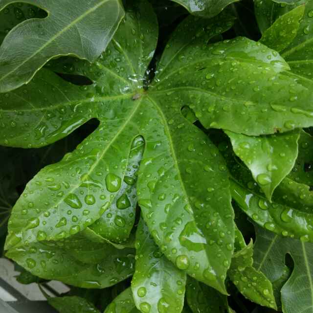 坚持