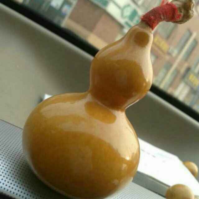 小龙