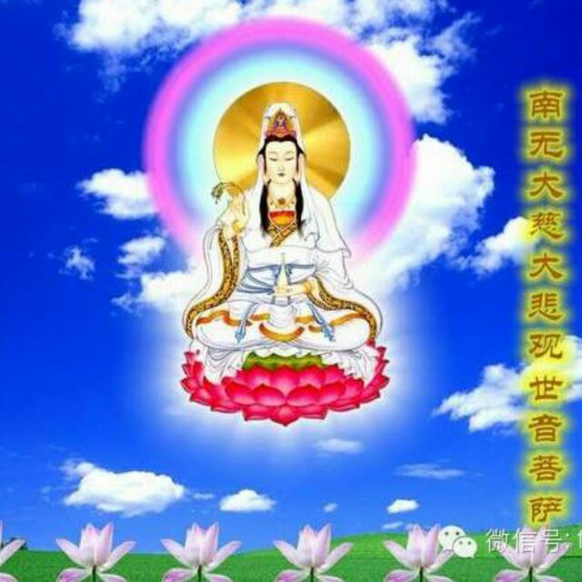 城信
