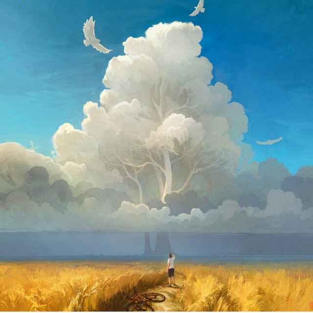教练