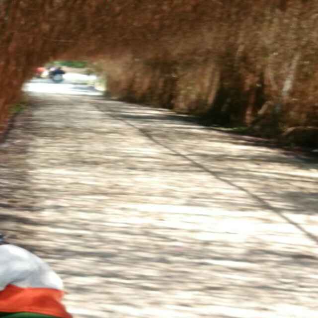 一世冬梦