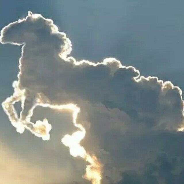 天马行空