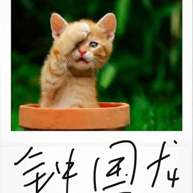 钟国龙