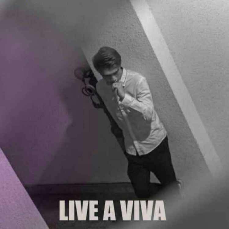 V!VA Ho.图 
