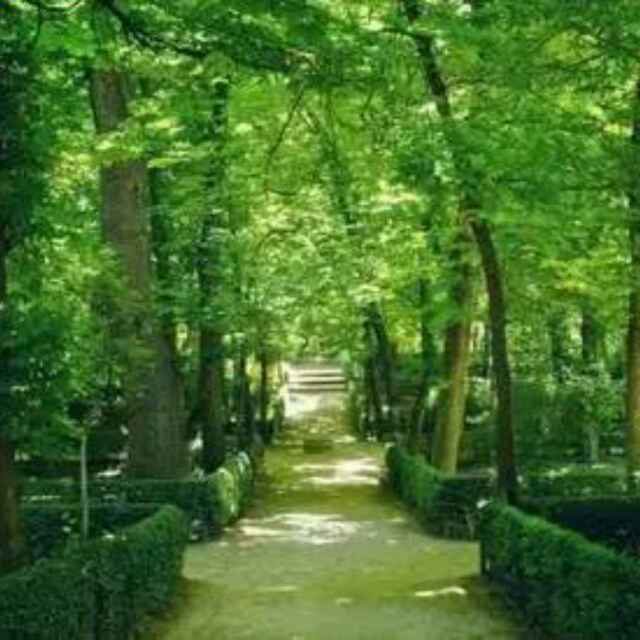 吴刚