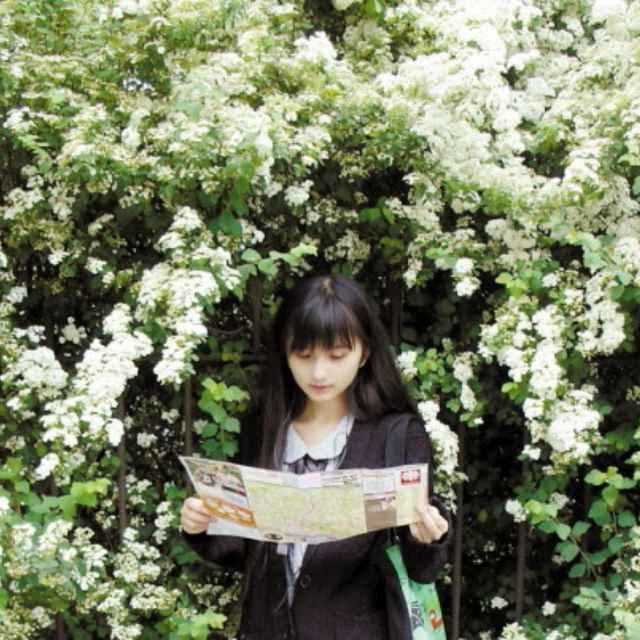 蜻蜓