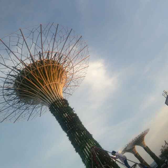 默默