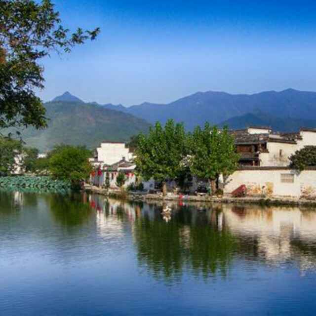 西德尼