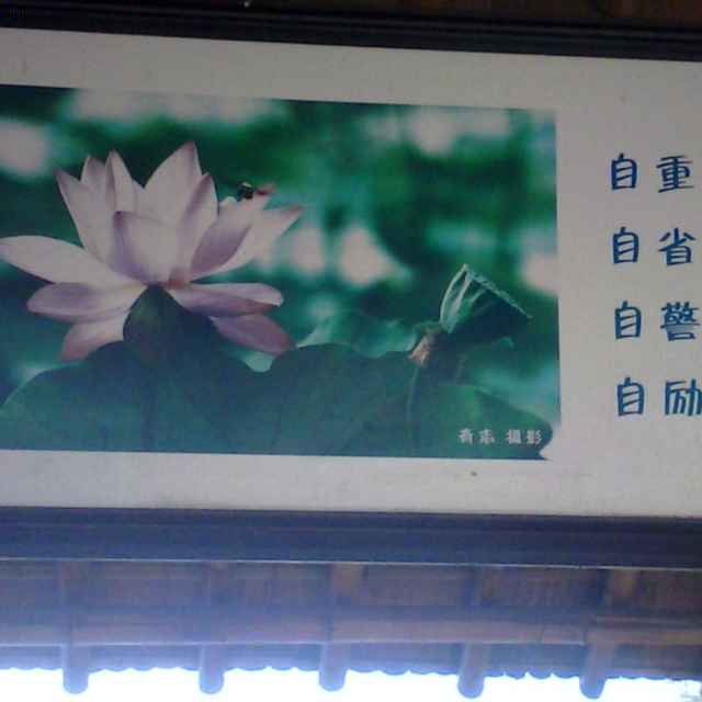 心有阳光