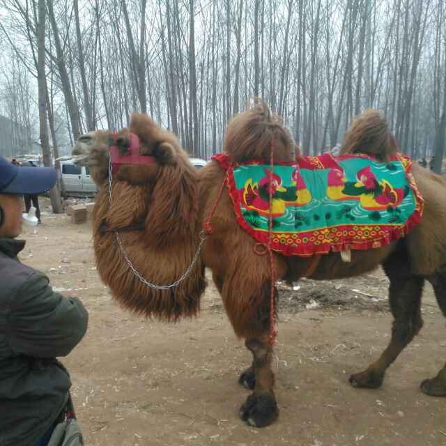物是人非，跳出圈外