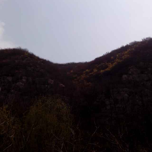 牛