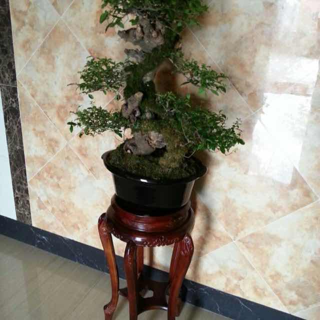 蔡牡娟
