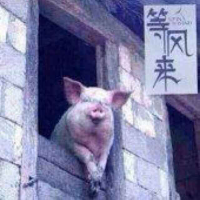 等风来