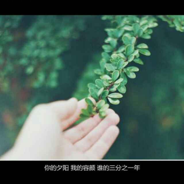子凌