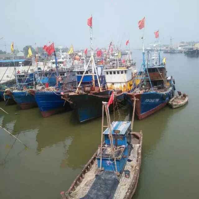 大海
