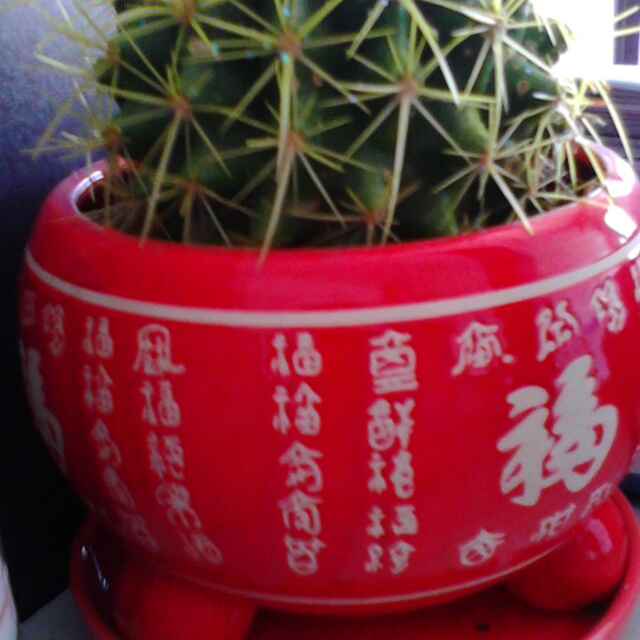 刘刘