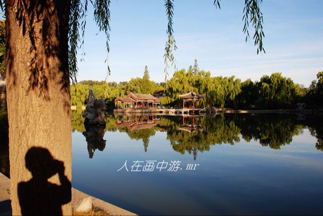 一缕阳光2