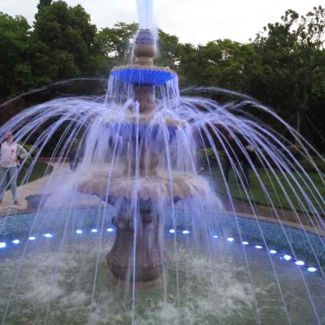 听雨