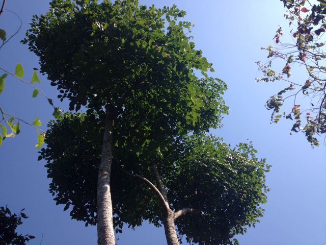 郭喜荣