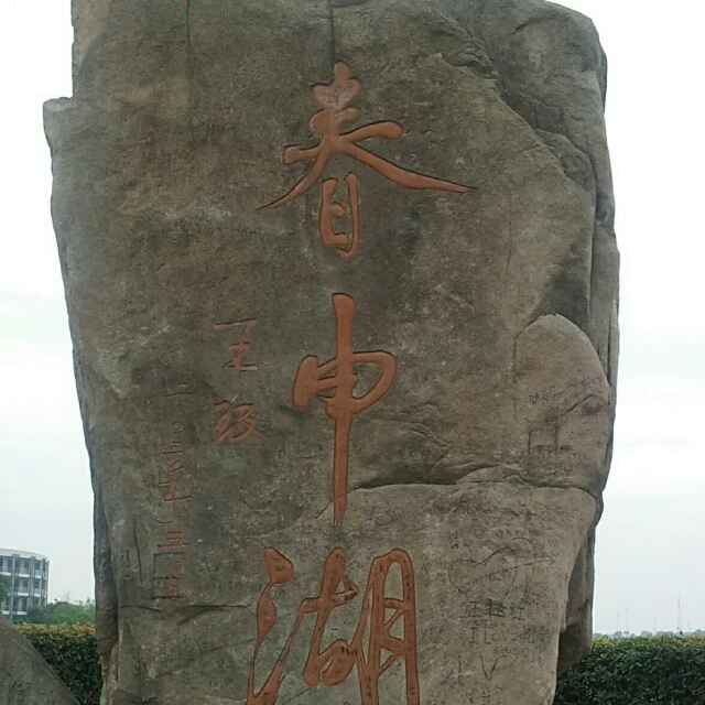 风雨见真情
