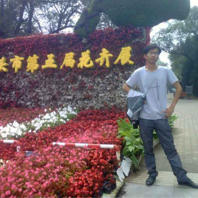 沐雨林